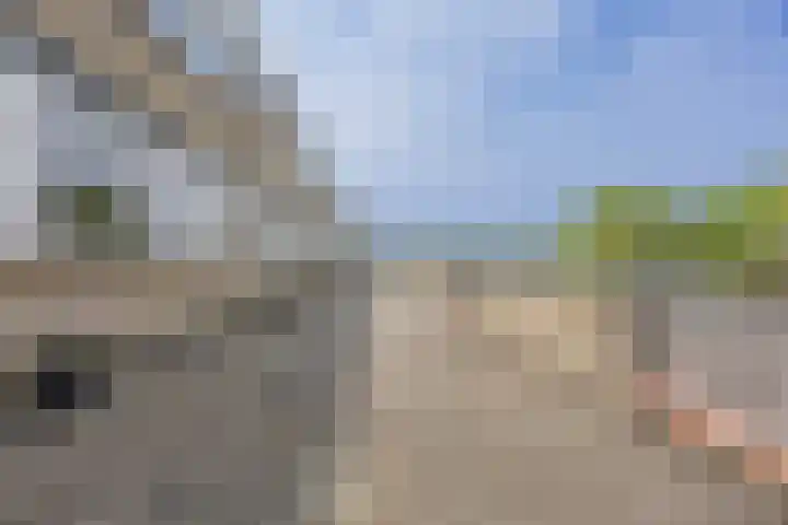Muziekplein 25 Uden thumbnail 39