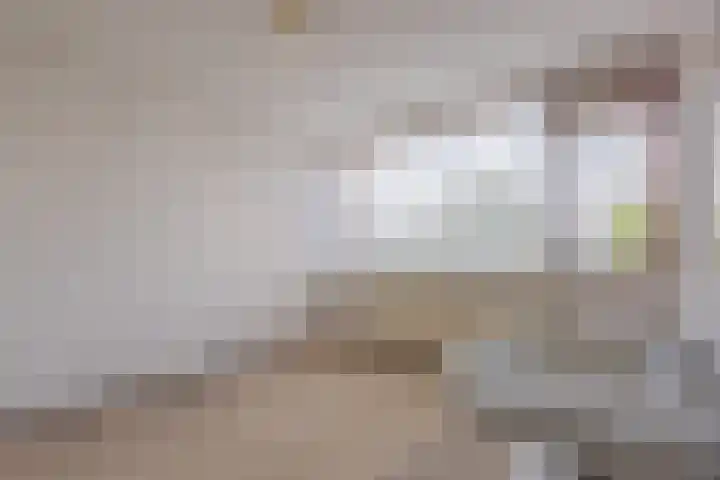 Muziekplein 25 Uden thumbnail 55