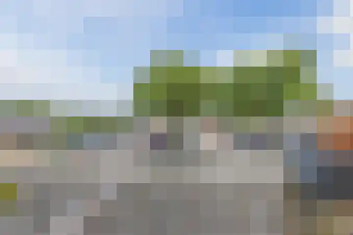 Muziekplein 25 Uden thumbnail 61