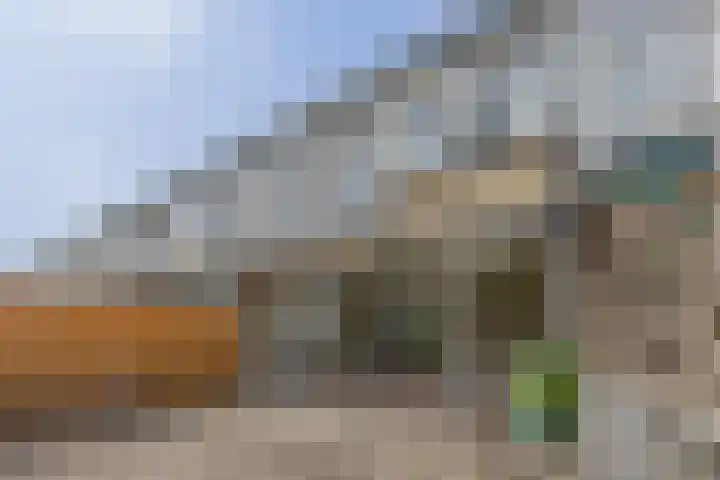 Muziekplein 25 Uden thumbnail 65