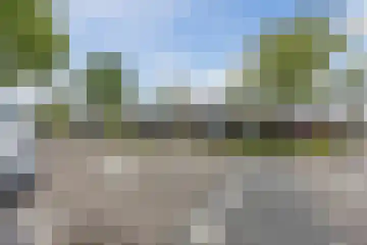 Muziekplein 25 Uden thumbnail 71