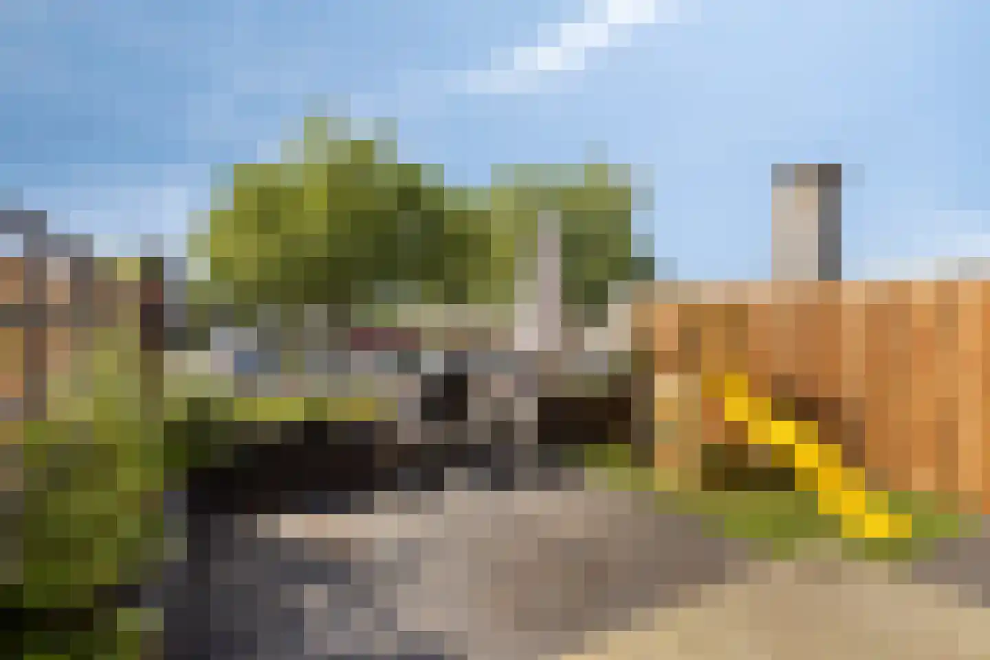 Muziekplein 27 Uden thumbnail 25