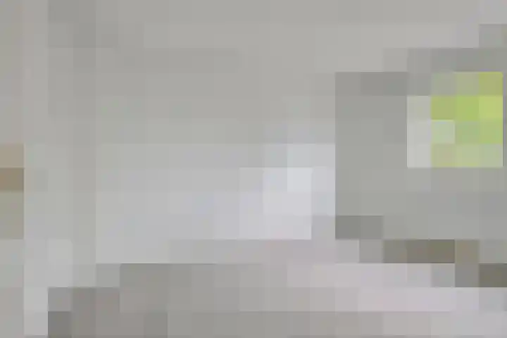 Muziekplein 37 Uden thumbnail 13