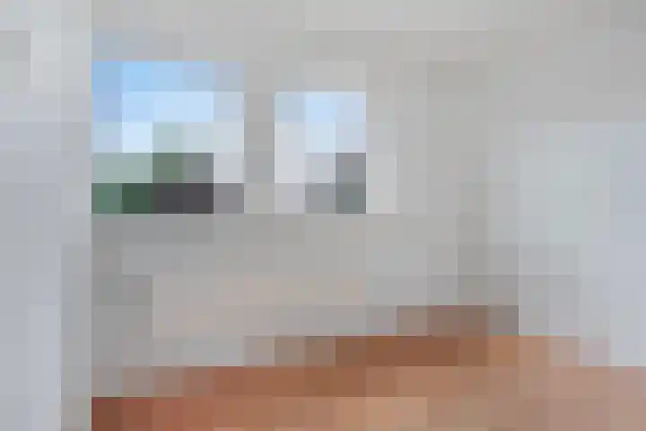 Muziekplein 37 Uden thumbnail 18