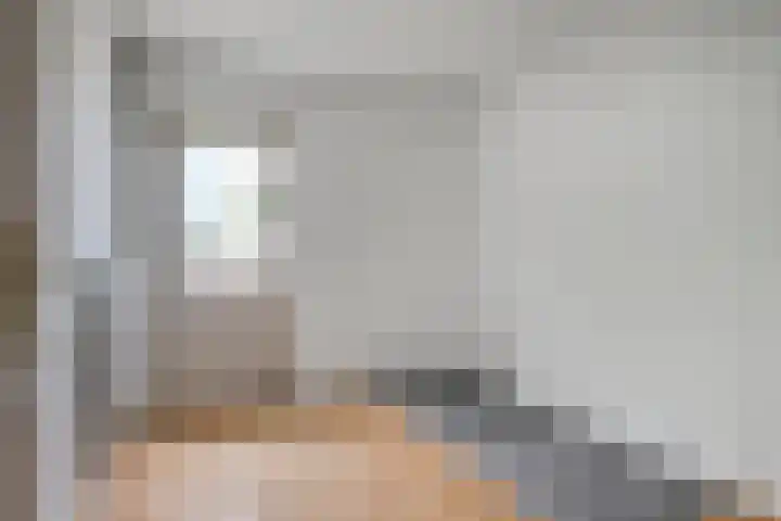 Muziekplein 37 Uden thumbnail 19