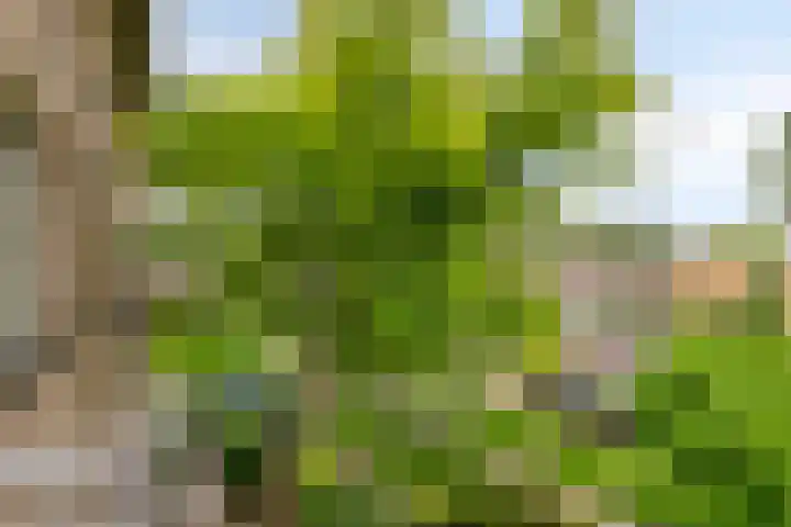 Muziekplein 37 Uden thumbnail 21