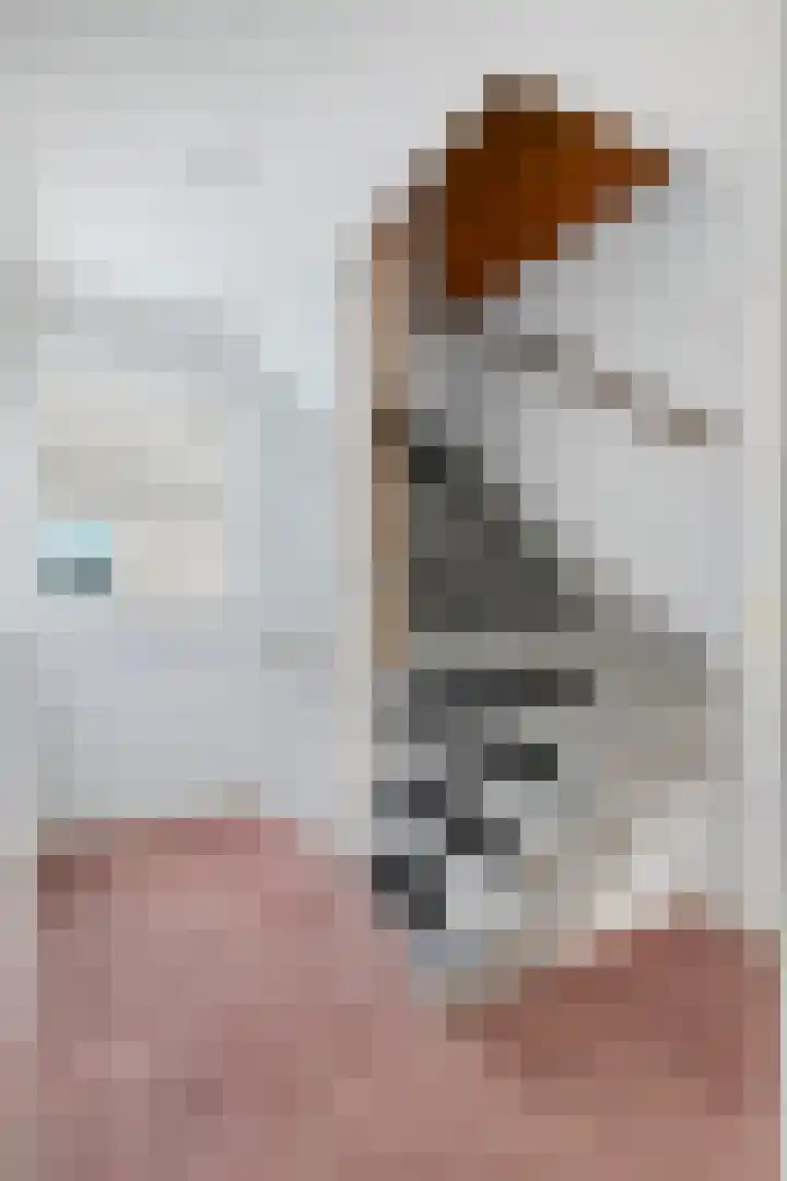 Muziekplein 37 Uden thumbnail 22