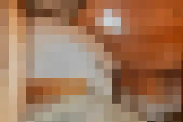 Muziekplein 37 Uden thumbnail 23
