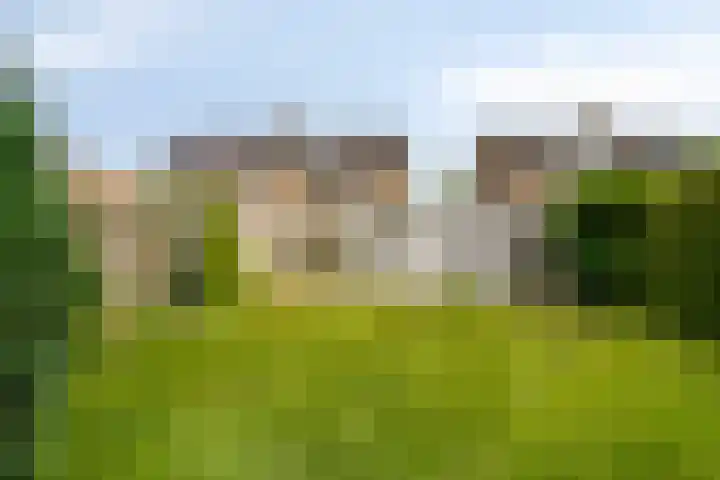 Muziekplein 37 Uden thumbnail 28