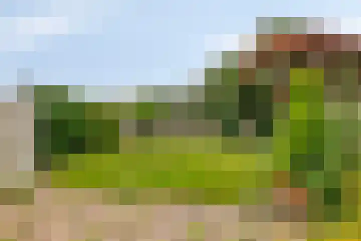 Muziekplein 37 Uden thumbnail 29