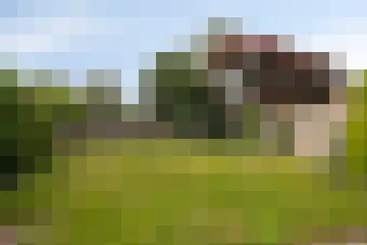Muziekplein 37 Uden thumbnail 30