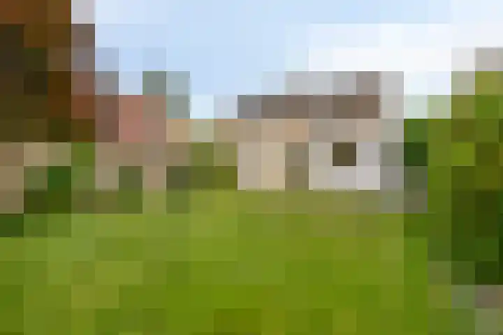Muziekplein 37 Uden thumbnail 31