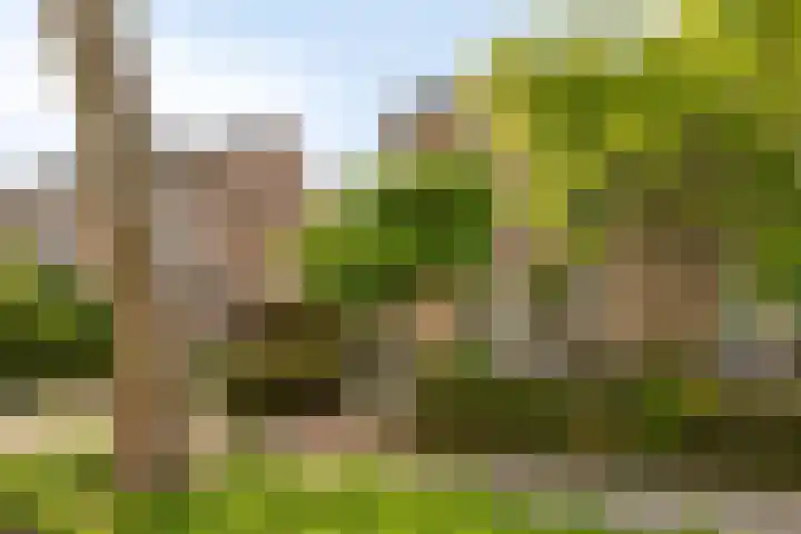 Muziekplein 37 Uden thumbnail 32