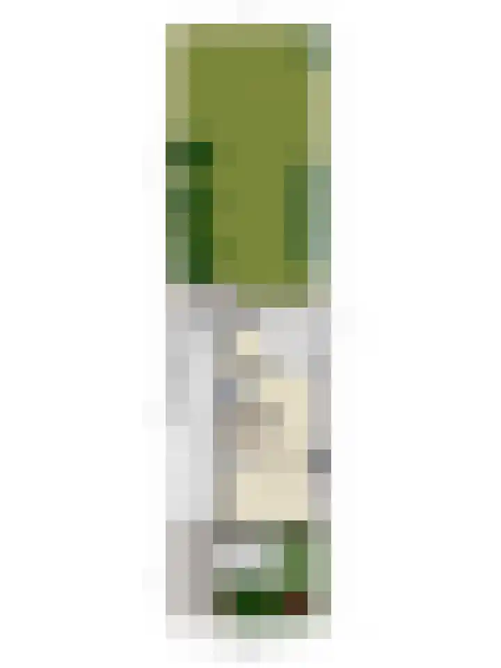 Muziekplein 37 Uden thumbnail 34