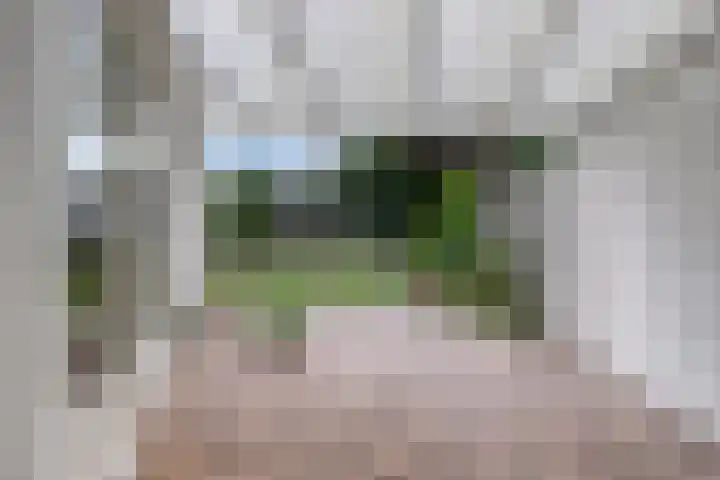Muziekplein 37 Uden thumbnail 7