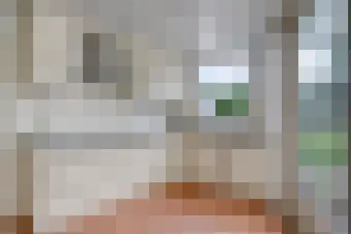 Muziekplein 37 Uden thumbnail 9