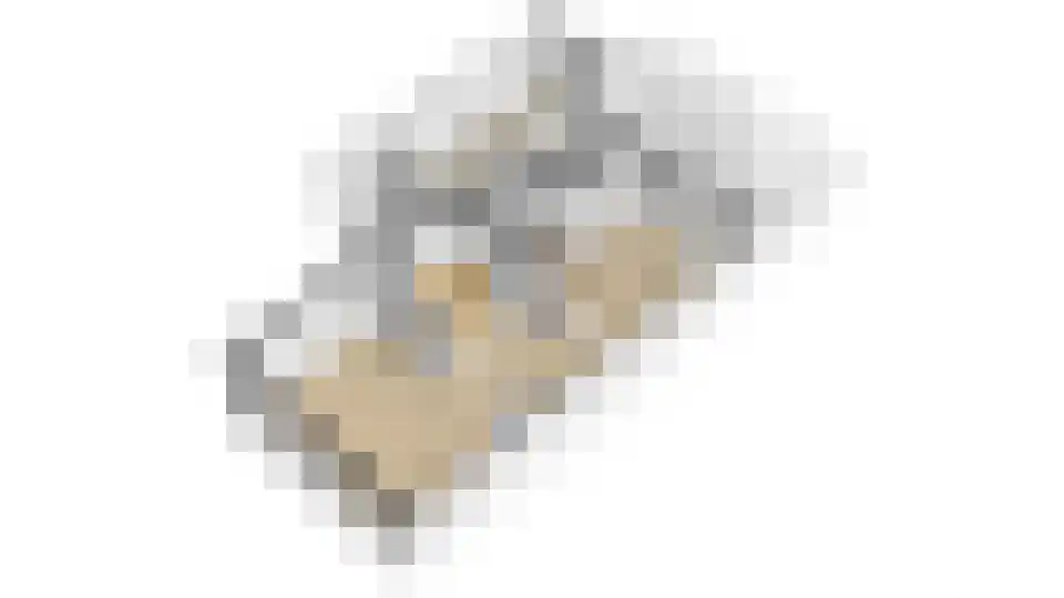 Muziekplein 57 Uden thumbnail 32