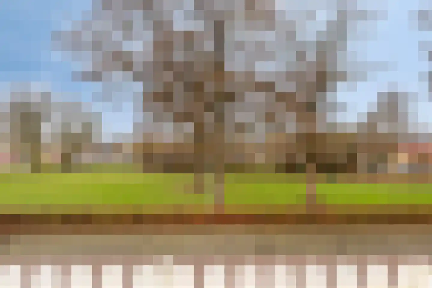 Muziekplein 96 Uden thumbnail 25