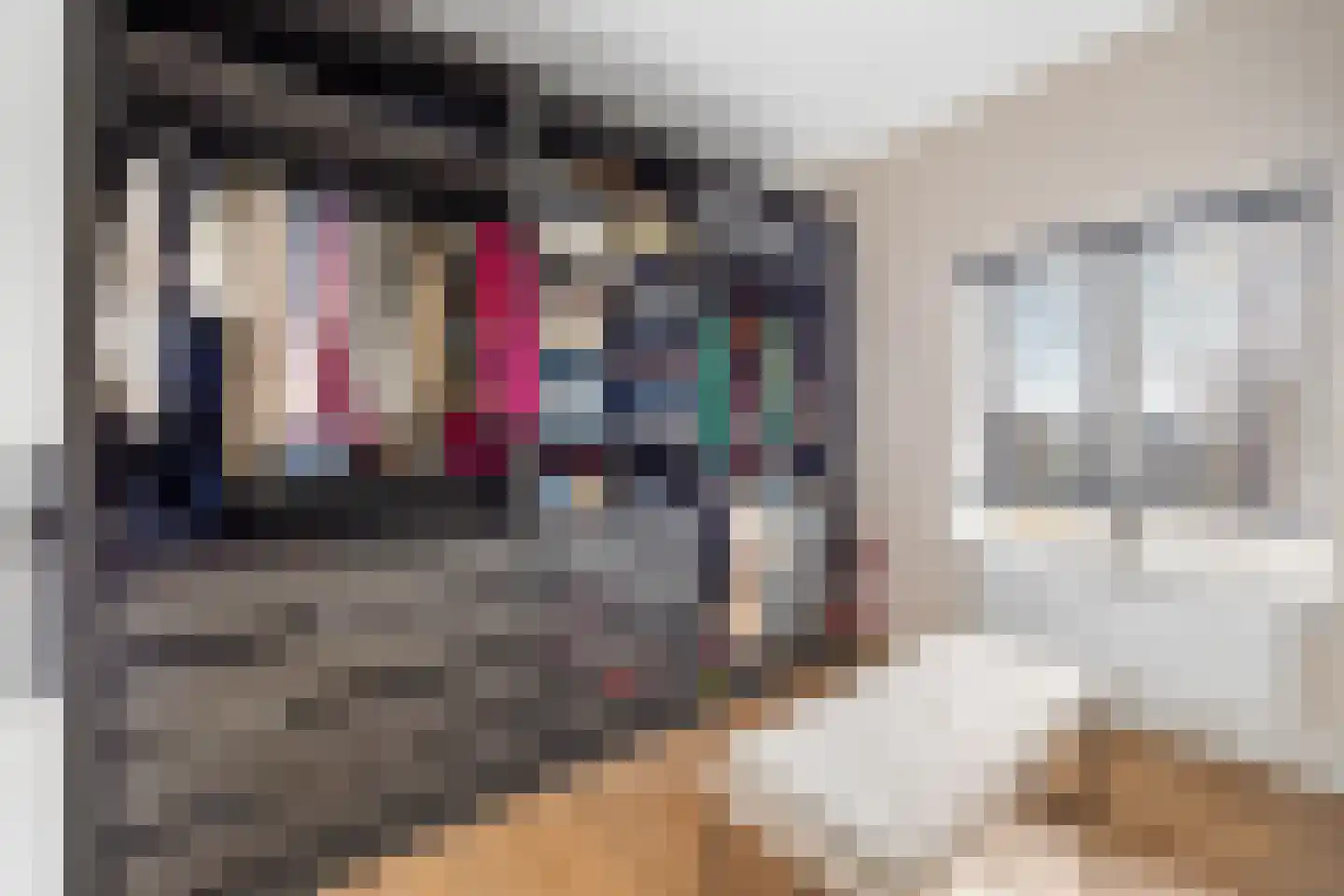 Team foto van MVG Vastgoedbeheer B.V.