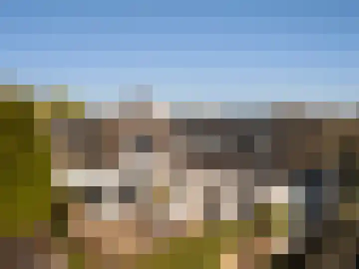 Mycene 9 Amersfoort thumbnail 19