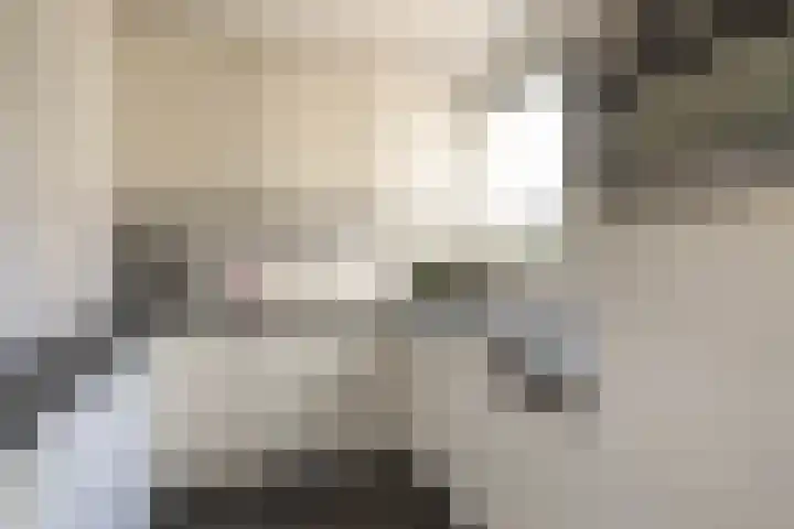 Mycene 9 Amersfoort thumbnail 7