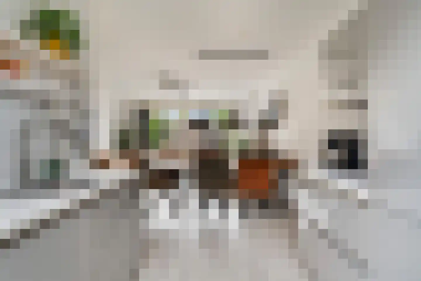 Myra Wardsingel 7 Berkel en Rodenrijs thumbnail 15