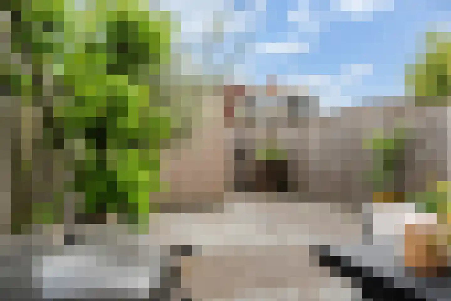 Myra Wardsingel 7 Berkel en Rodenrijs thumbnail 21