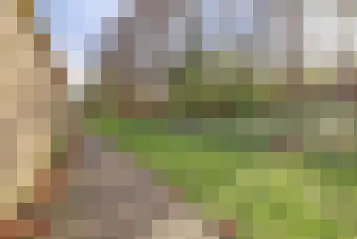 Myrdalstate 12 Ede thumbnail 37