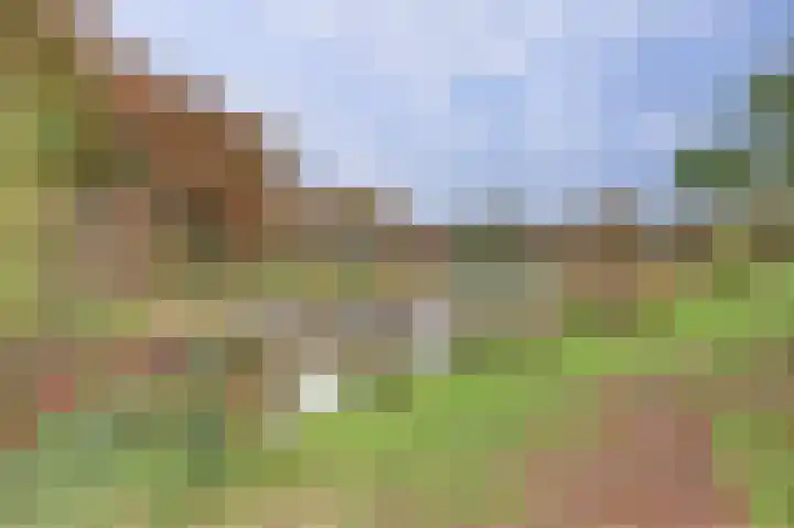 Myrdalstate 12 Ede thumbnail 42