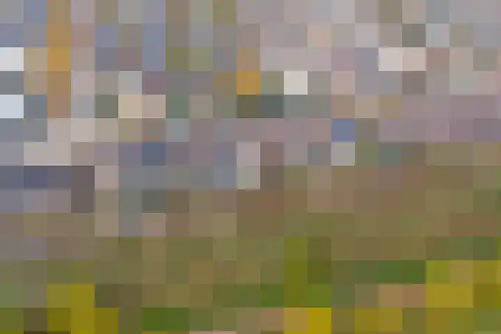 Myrdalstate 12 Ede thumbnail 43