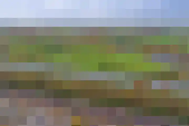 Myrdalstate 12 Ede thumbnail 44