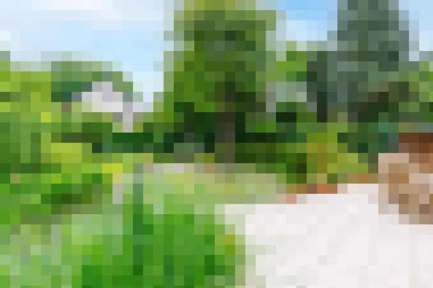 Myrtillushof 24 Apeldoorn thumbnail 30