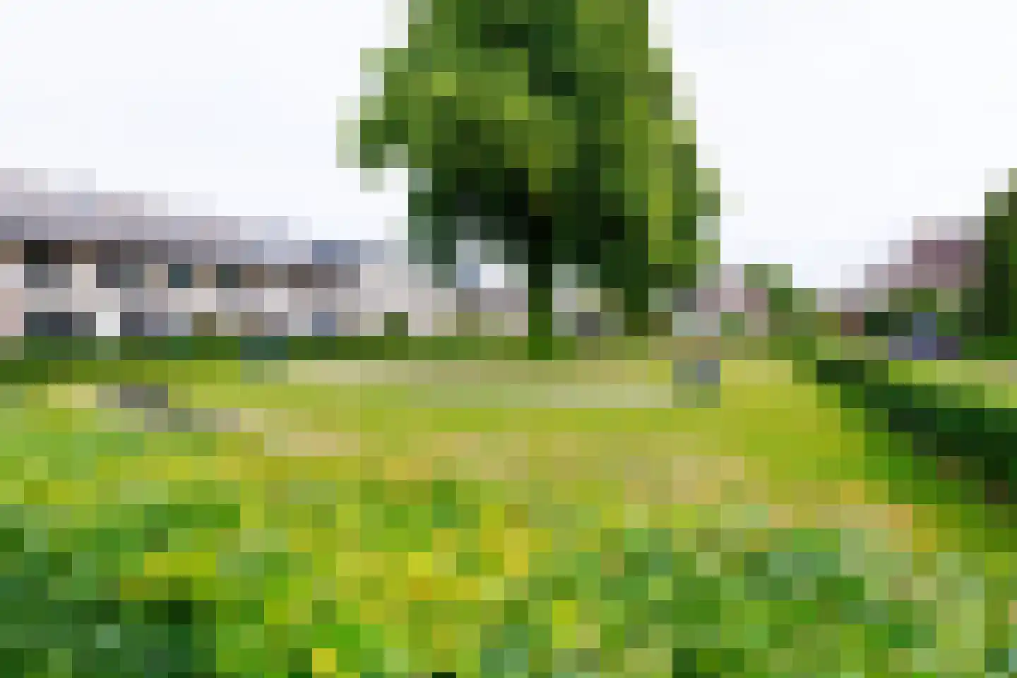 Myrtillushof 24 Apeldoorn thumbnail 34
