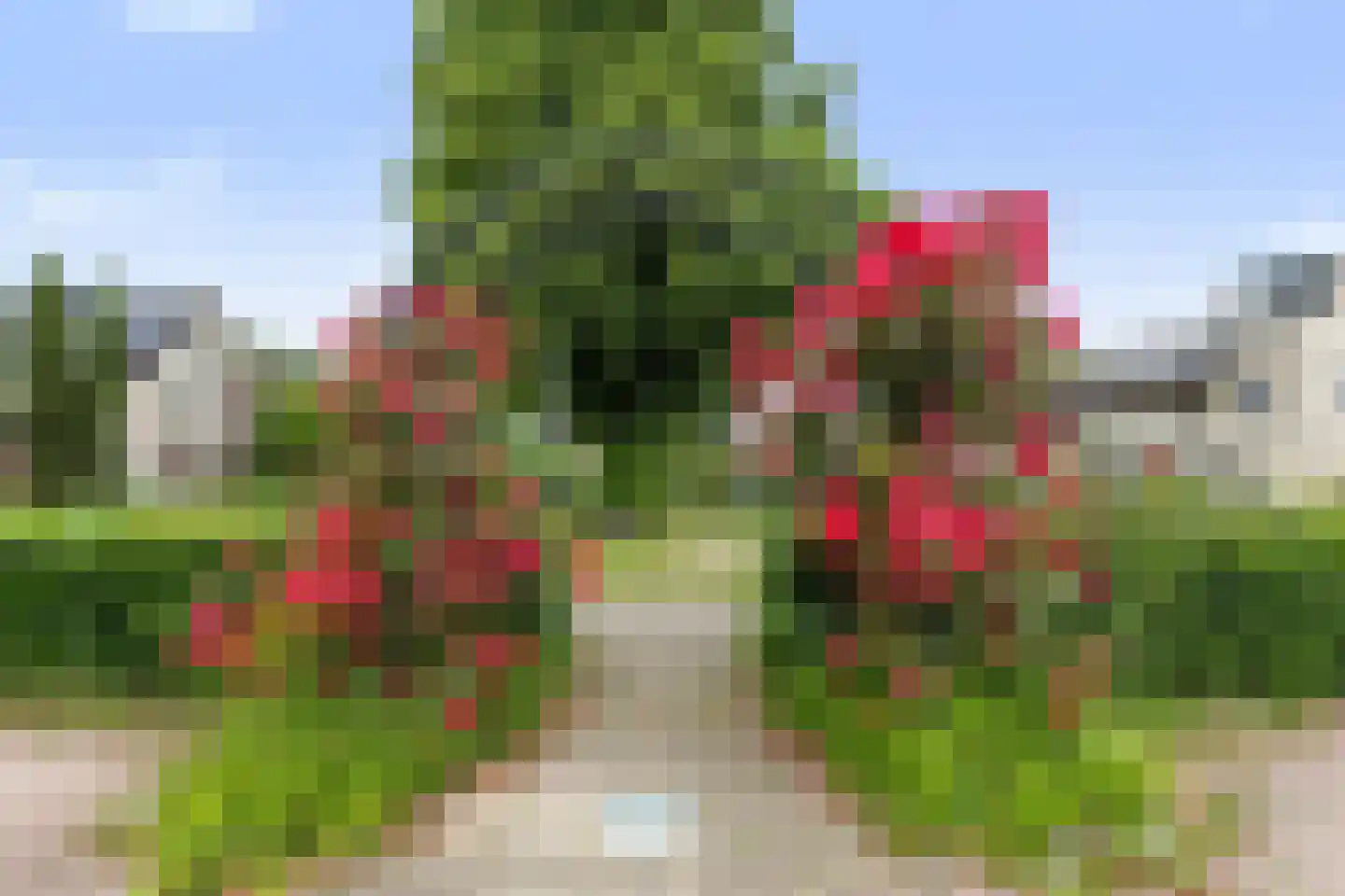 Myrtillushof 61 Apeldoorn thumbnail 30