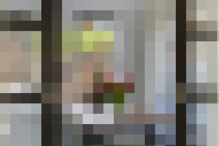 Myrtillushof 71 Apeldoorn thumbnail 13