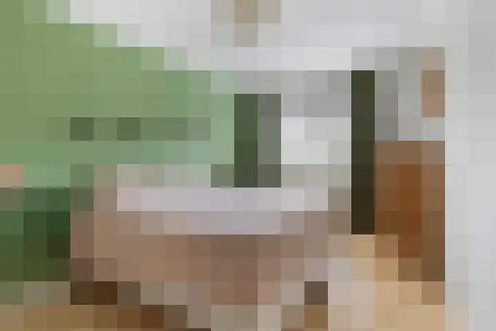 Myrtillushof 71 Apeldoorn thumbnail 23