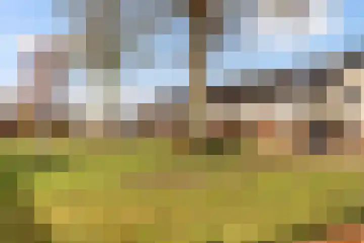 Myrtillushof 71 Apeldoorn thumbnail 30