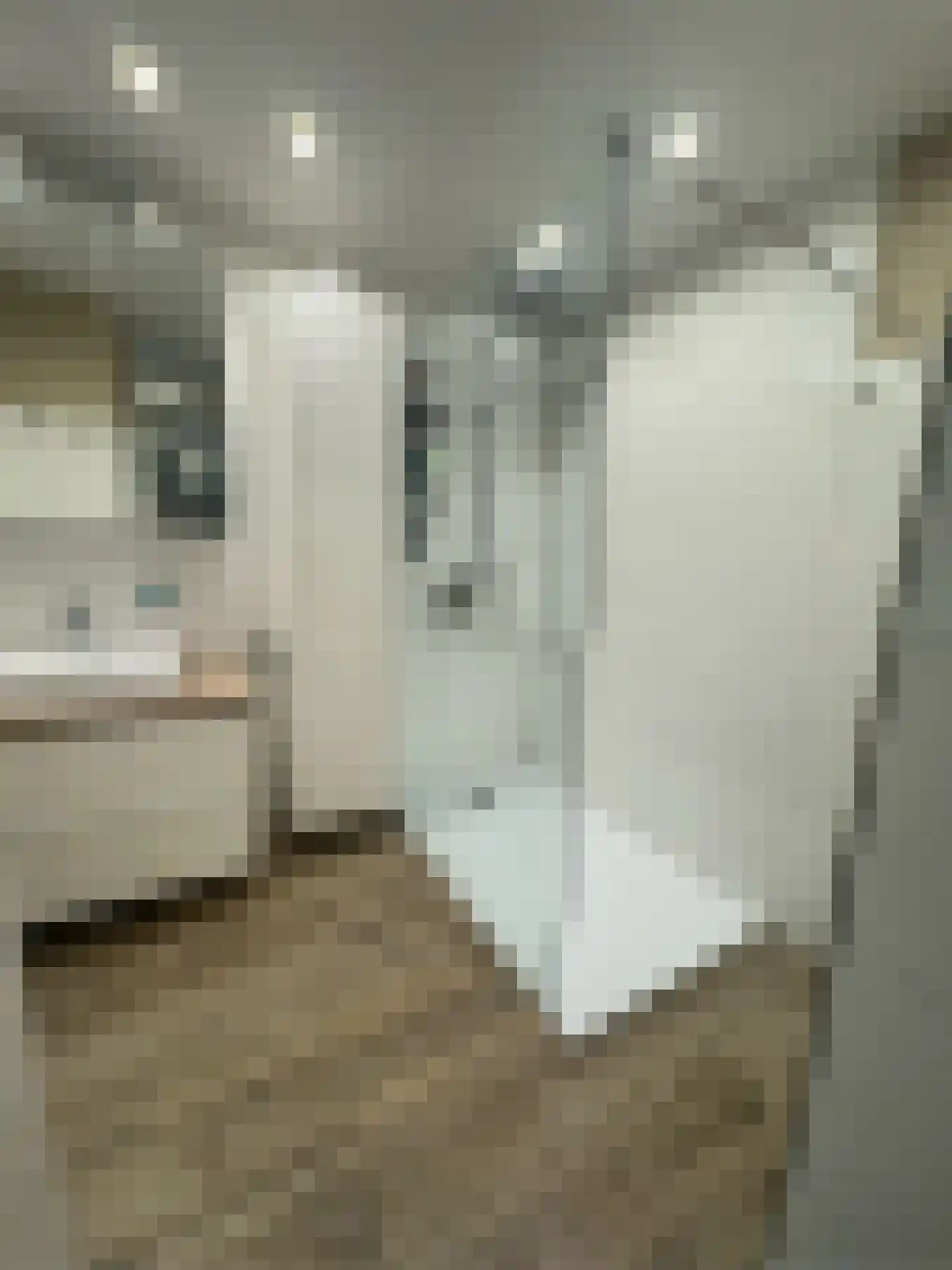 Mytilus 21 Brouwershaven thumbnail 8