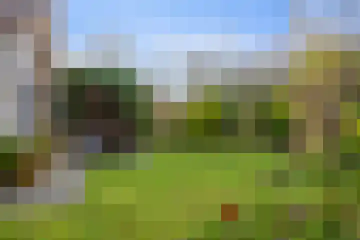Mytilus 22 Brouwershaven thumbnail 17