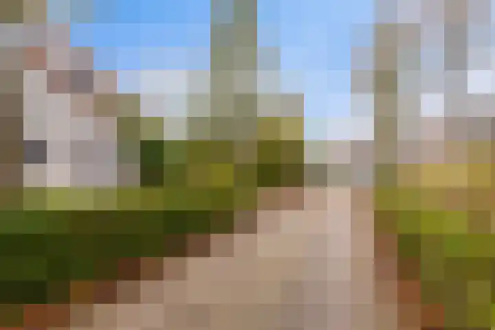 Mytilus 22 Brouwershaven thumbnail 21