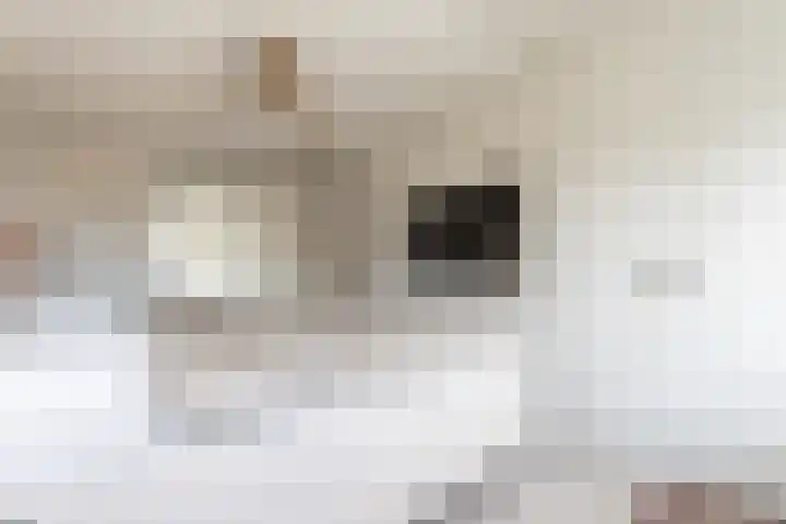 N.A. Papestraat 15 Hekelingen thumbnail 23