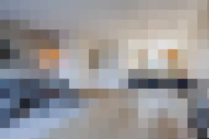 N.C.B.-laan 7 D Veghel thumbnail 13