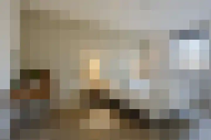 N.C.B.-laan 7 D Veghel thumbnail 21