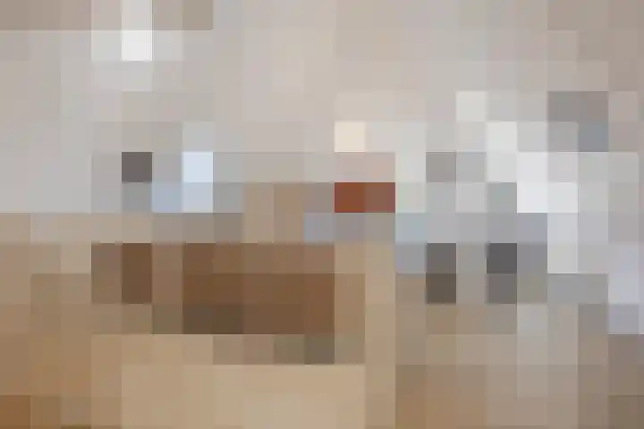 N.C.B.-laan 7 D Veghel thumbnail 29