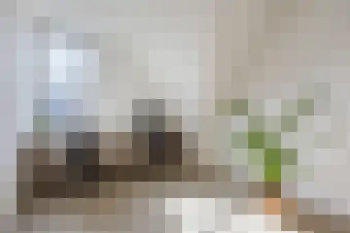 N.C.B.-laan 7 D Veghel thumbnail 38