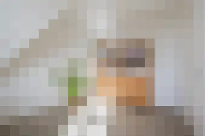 N.C.B.-laan 7 D Veghel thumbnail 39