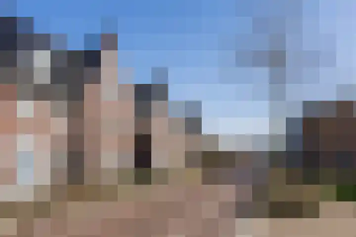 N.C.B.-laan 7 D Veghel thumbnail 49