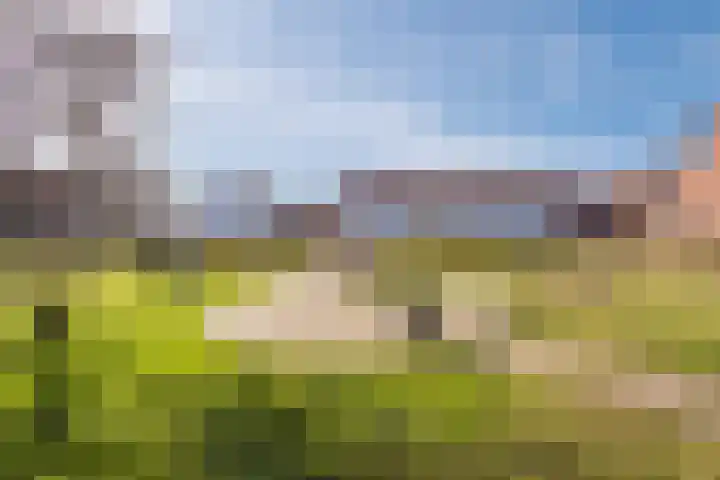 N.C.B.-laan 7 D Veghel thumbnail 50