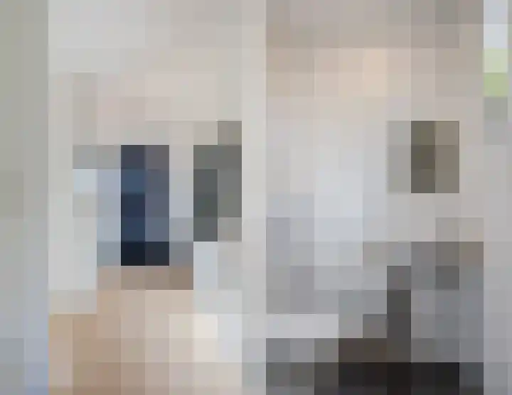 N.C.B.-laan 7 D Veghel thumbnail 9