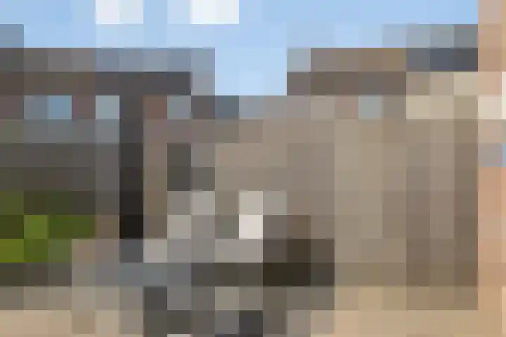 N.J. Hartestraat 11 Terneuzen thumbnail 25